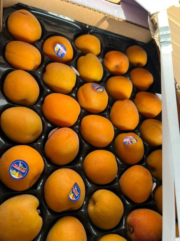 Abricots en plateau