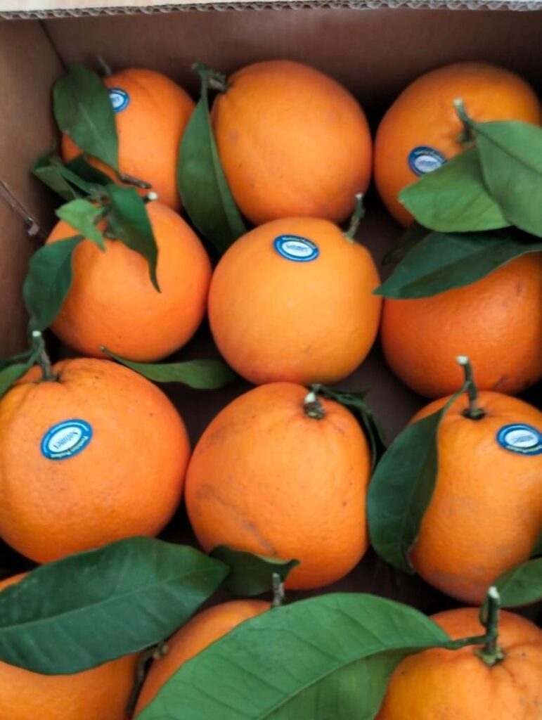 Caisse d’oranges tunisiennes