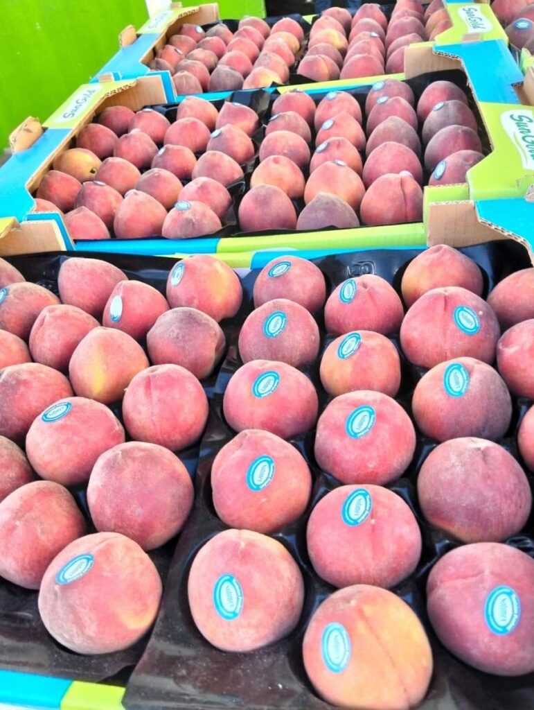 Pêches