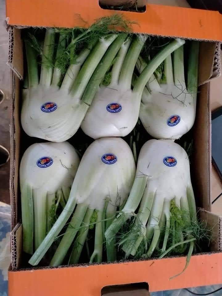 Fenouil en colis