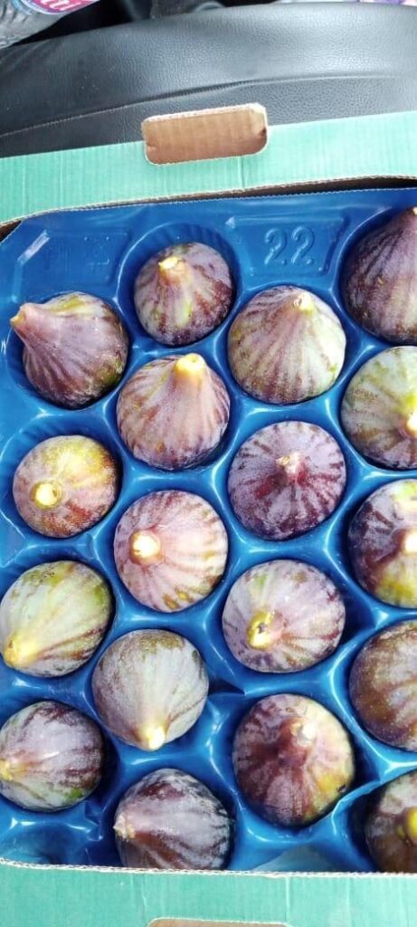 Figues en alvéoles
