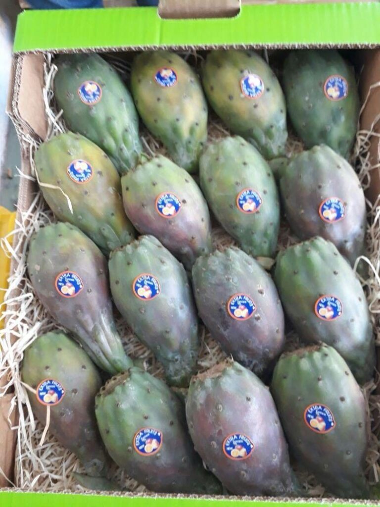 Figues de barbarie